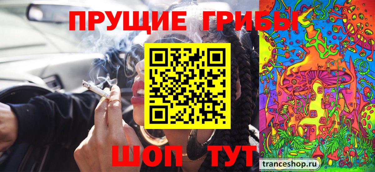 Богданович  Галлюциногенные грибы GOLDEN TEACHER  Псилоцибиновые грибы мицелий  Вход с VPN 
